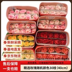 京东鲜花 精选玫瑰 随机色 30枝 40cm