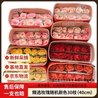京东鲜花 精选玫瑰 随机色 30枝 40cm