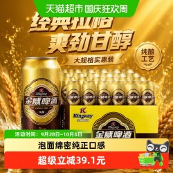 雪花 BEER/雪花 SNOWBEER 大规格实惠装 啤酒   500mL 24罐 包装 500ml