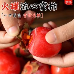 余柿 吊红火罐蜜柿盒装48颗！新鲜水果火柿子珍珠蜜柿一口吸红火虹柿