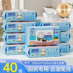 蓝漂 整箱10大包厨房湿巾一次性去油去污去渍擦油烟机灶台清洁纸巾囤货