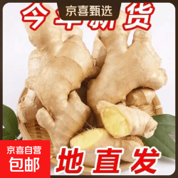 京喜 风干无泥姜正宗生姜大姜水洗黄姜新鲜月子 山东大姜250g净重250g