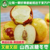 旭寻 泡沫彩箱山西庙上冰糖冬枣新鲜脆甜应季带箱5斤单果15g起