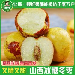 旭寻 泡沫彩箱山西庙上冰糖冬枣新鲜脆甜应季带箱5斤单果15g起