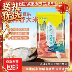 京喜 长粒香米东北大米现磨寒地当季粳米新米软糯米粒饱满 东北长粒香米500g
