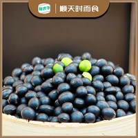 鲜农子 东北绿芯黑豆磨豆浆高蛋白青仁黑豆绿心五谷杂粮磨粉原料小包装