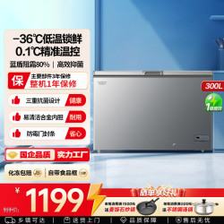 澳柯玛 300升冰柜家用冷冻柜冷藏柜单温-36℃阻霜一级能效官方旗舰