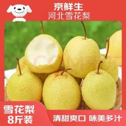 京鲜生 河北赵县雪花梨净重8斤单果250g+ 新鲜水果 源头直发