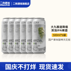 大九 降临浑浊IPA 精酿啤酒 500ml