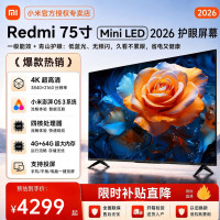 小米 REDMI L75RC-RX 288Hz高刷 75英寸 Mini LED电视 标配