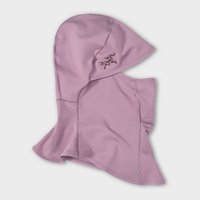 始祖鸟 RHO BALACLAVA 男女同款 滑雪防风帽