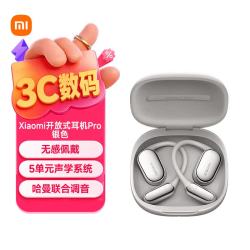 小米 开放式耳机Pro 银色