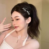 老友记同款发夹蜻蜓ins风复古欧美甜心发卡一字夹少女心辣妹发饰