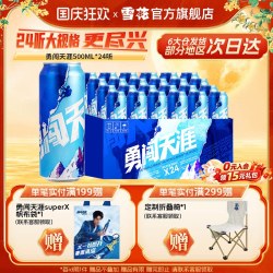 雪花 BEER 雪花 SNOWBEER BEER BEER 勇闯天涯 啤酒 500ml*24听