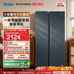 海尔 盛宴系列 风冷对开门冰箱 616L 烟青色