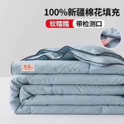 雅鹿 ·自由自在 100%棉花填充夏凉被可机洗水洗裸睡空调被纯棉被芯夏季薄款被子