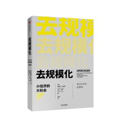 中信出版社 去规模化 小经济的大机会 图书