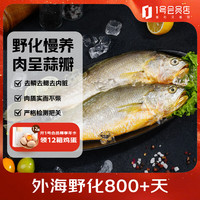 1号会员店 冷冻野化三去黄花鱼 宁德大黄鱼800g/2条