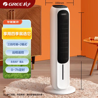 格力 冷暖两用空调扇家用加湿塔式大面积制冷气扇卧室立式水冷风机