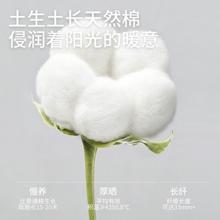 金利来 女士纯棉三角内裤 纯净蓝+奶油黄+浅芽绿 L码 3条装