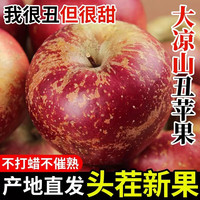 齐鲁盛宝园 大凉山丑苹果 净重4.5-5斤（单果70-80mm）