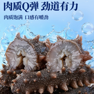 大连海参官方旗舰店即食独立包装袋辽参刺参海渗鲜活海鲜礼盒水产