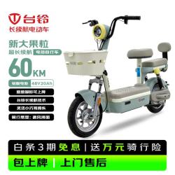台铃 电动自行车新大果粒2026新国标可上牌48V20Ah铅酸电池通勤代步电动车电自莫兰迪绿
