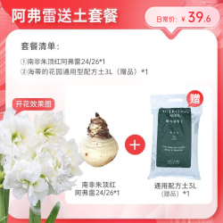 海蒂的花园 南非朱顶红重瓣种球 阿弗雷 12+ 送土套餐