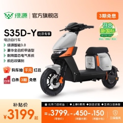 绿源 S35-D 48V30Ah铅酸电池 新国标电动自行车