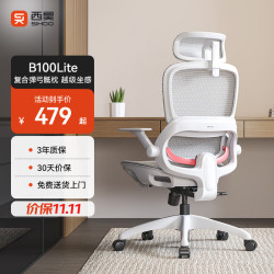 西昊 B100Lite 人体工学椅 B100Lite灰 无脚踏 弹弓骶枕