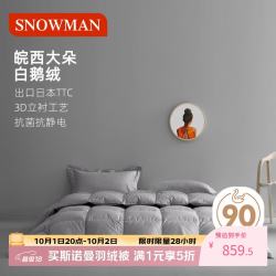 斯诺曼 抑菌羽绒被芯静音90%白鹅绒被子 冬被2.0*2.3m充830g灰色 灰色（90%白鹅绒冬被） 200cm*230cm