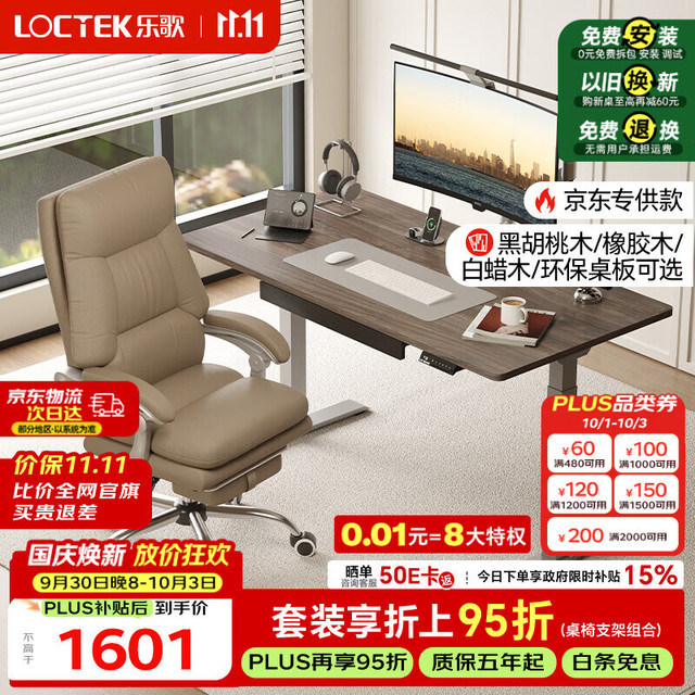 乐歌 电动升降桌电脑桌双电机站立办公家用书桌 E3/1.2m灰胡桃木色套装