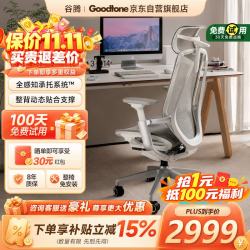 Goodtone BIRCH电竞版 人体工学电脑椅 白框灰网