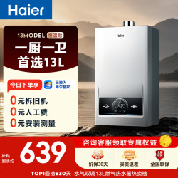 海尔 JSQ25-13MODEL(12T)U1 强排式燃气热水器 13L
