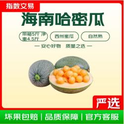 京东 哈密瓜西州蜜瓜 带箱5-6斤家庭装（1-2个果）