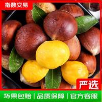 26年丹东新板栗生板栗炒菜专用新鲜蔬菜生鲜 26年新下树净重 2斤