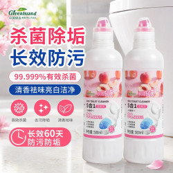 绿岛 洁厕灵洁厕液500g 马桶清洁剂洁厕剂卫生间除臭垢厕所杀菌去异味