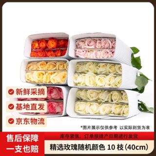 今日必买：京东鲜花 精选玫瑰 随机色 10枝 40cm