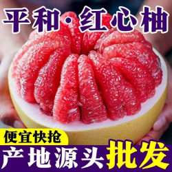 福建平和红心柚新鲜水果当季特产孕妇水果现摘源头直发香甜蜜柚