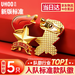 优和 标准款少先队队徽校徽小学生别针磁扣立体款火炬队徽 别针扣5个装 0265