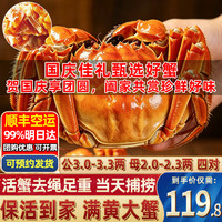 阳澄漪涟 大闸蟹 公3.0-3.3两母2.0-2.3两 8只装
