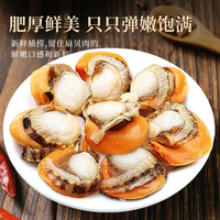 北海湾 鲜剥扇贝肉 1500g
