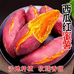 格沃斯 超甜沙地蜜薯新鲜红薯黄心板栗薯糖心薯红心西瓜红蜜薯山芋地瓜批 板栗香薯大果带箱9-10斤