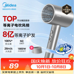 美的 FJ308 5亿等离子护发 星光银 1800W 电吹风