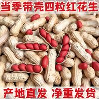 10斤红皮带壳花生