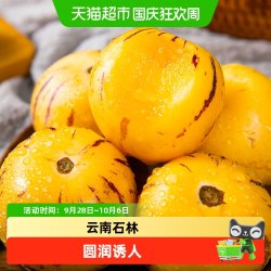 鲜蜂队 云南石林人参果 黄肉大果 500g