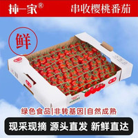 京百味 新鲜串收红宝石樱桃番茄礼盒装 净重3斤