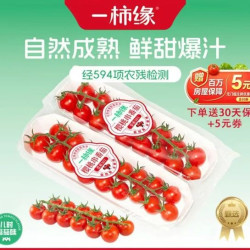 京百味 山东精品串收樱桃番茄 198g*6条 随享礼盒