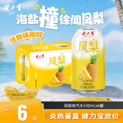 健力宝 碳酸饮料汽水 海盐撞凤梨味330mL*6罐