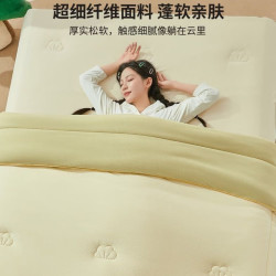 一默 加厚保暖深睡冬被 奶黄拼豆绿180*200cm